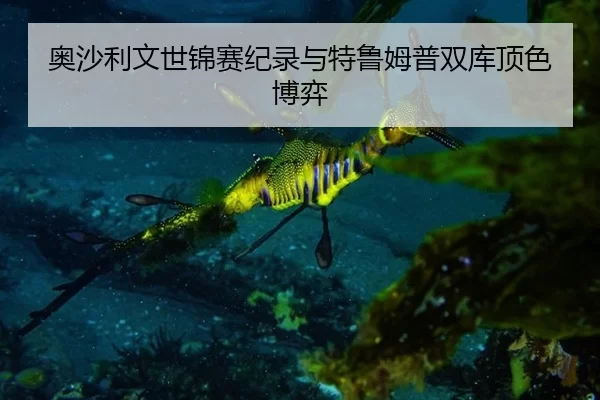 奥沙利文世锦赛纪录与特鲁姆普双库顶色博弈